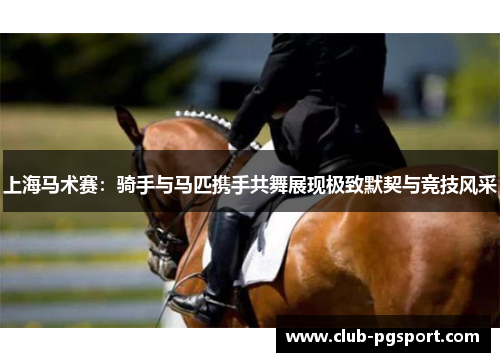 上海马术赛：骑手与马匹携手共舞展现极致默契与竞技风采