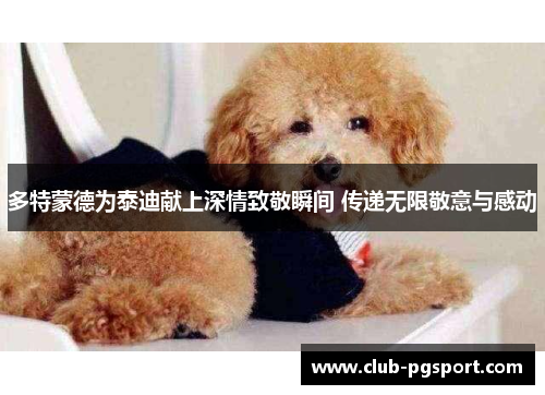 多特蒙德为泰迪献上深情致敬瞬间 传递无限敬意与感动 多特蒙德为泰迪献上深情致敬瞬间 传递无限敬意与感动