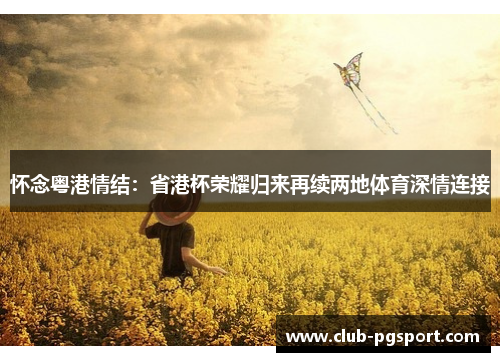 怀念粤港情结:省港杯荣耀归来再续两地体育深情连接 怀念粤港情结:省港杯荣耀归来再续两地体育深情连接