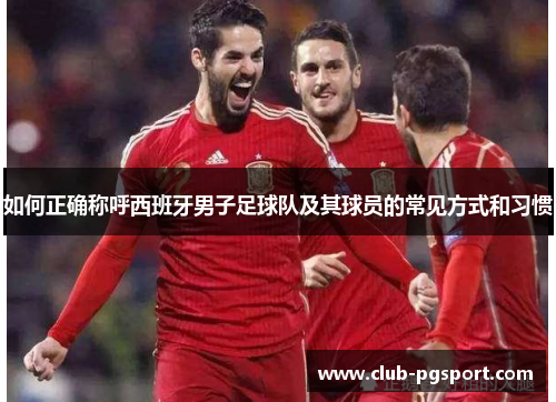 如何正确称呼西班牙男子足球队及其球员的常见方式和习惯